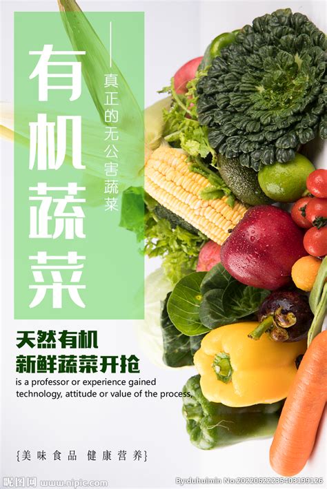 有机蔬菜设计图__广告设计_广告设计_设计图库_昵图网nipic.com