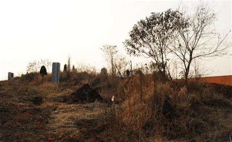 美国艺术家创作死亡主题行为艺术，“自掘坟墓”探讨时间和永恒