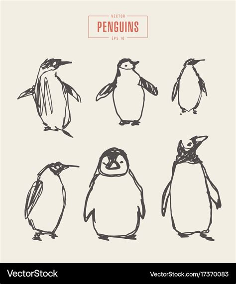 Set penguins hand drawn sketch Royalty Free Vector Image