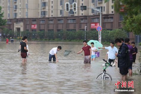 2019年，南京水环境质量全省第一