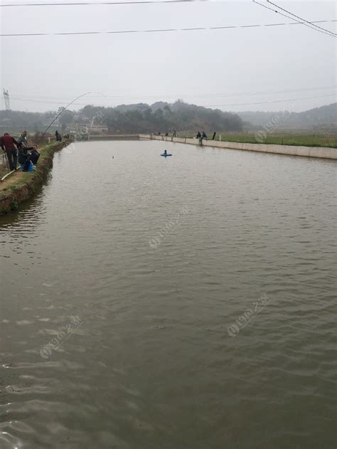 清水塘钓场_清水塘钓场地址_清水塘钓场电话 - 钓鱼人