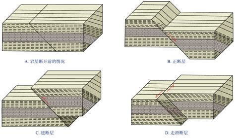 断层示意图图片
