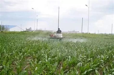 郑州厂家批发供应氮肥叶面肥喷施液体缓释氮肥_微生物肥料_第一枪