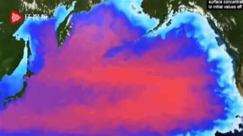 日本倾倒核废水，两岸民众还能吃海鲜吗？_海峡漫话_台湾_新闻中心_台海网
