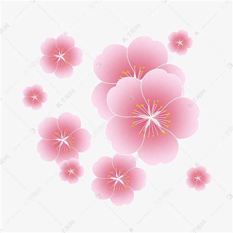 小花花图片