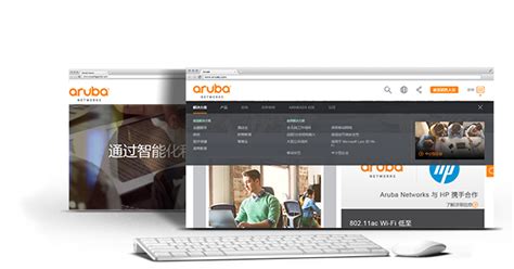 Aruba中文网站开发