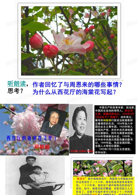 西花厅的海棠花又开了课件PPT模板下载_编号qmdmpowv_熊猫办公