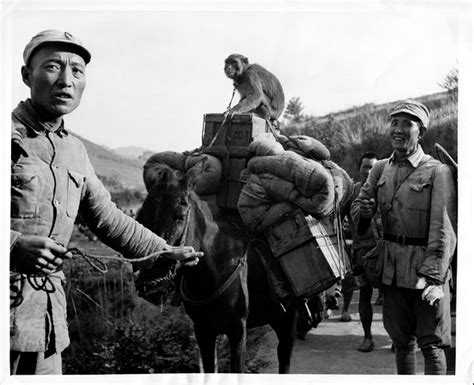 中国远征军雕像群 - 焦点图 - 铁血丹心滇缅路 - 华声在线专题