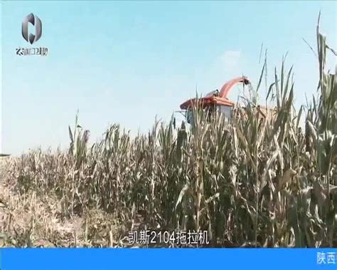 农村大市场（2022-12-04） - 陕西网络广播电视台