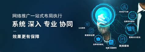 东莞网站推广排名优化软件 网站推广软件排名优化-码迷SEO