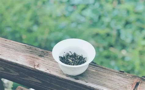 普洱茶从入门到精通的100个专业术语（建议收藏备用）_茶马推荐_茶马网