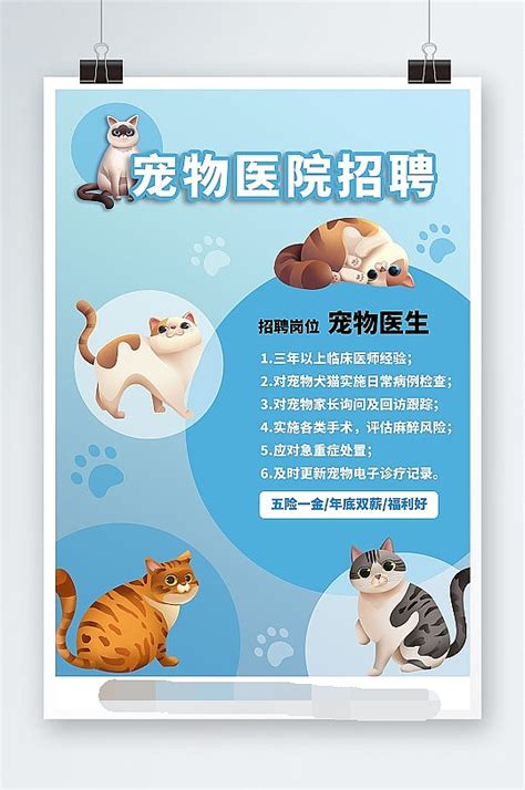 宠物海报在线编辑-宠物医院招聘宣传海报-图司机