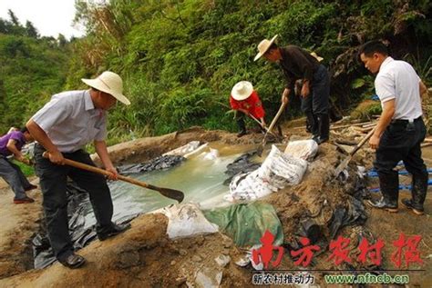 广东英德灌溉水疑遭稀土盗采污染 自产米没人吃-稀土在线