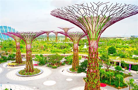 2023新加坡滨海湾花园游玩攻略,这座位于市中心的超级花园以1...【去哪儿攻略】