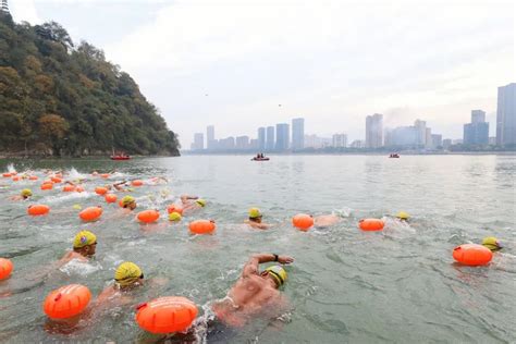 市第五届公开水域游泳锦标赛举行