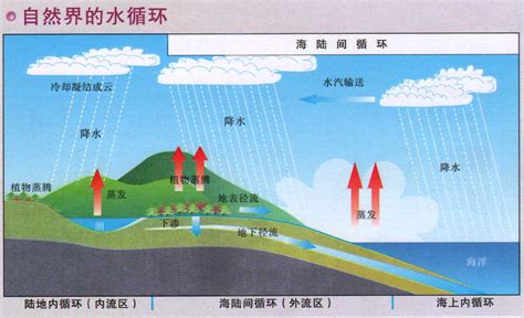 【地理概念】垂直降水和水平降水-搜狐大视野-搜狐新闻