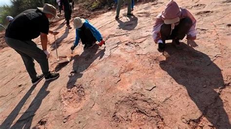 义乌发现世界罕见的白垩纪晚期恐龙足迹化石群 - 神秘的地球 科学|自然|地理|探索