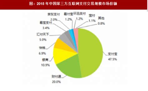2018年中国第三方支付平台行业分析报告-市场深度调查与发展前景研究 - 中国报告网