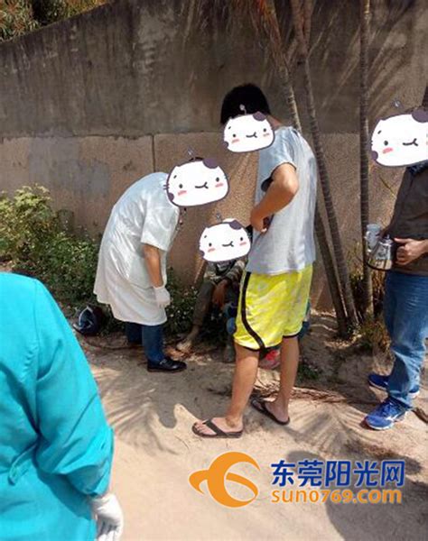 湖南6岁女童到深圳3天走失 父母苦寻19年终于相认 - 三湘万象 - 湖南在线 - 华声在线