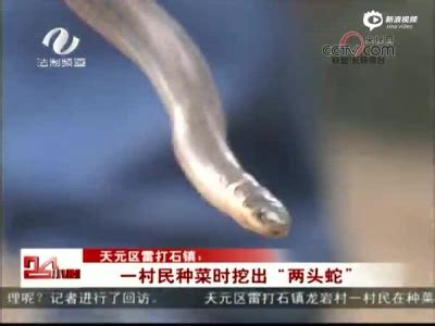 黄河巨蛇事件_腾讯视频