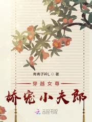 穿越女尊：娇宠小夫郎(青青子衿L)最新章节免费在线阅读-起点中文网官方正版