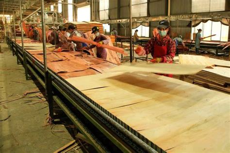 广西柳州市柳城打造万亩木材加工产业园-木业网