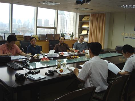 2009年6月19日，省纪委监察厅提案协商会议在永业行召开-湖北永业行评估咨询有限公司