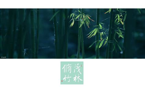 【茂林修竹摄影图片】北京生态摄影_ljm1028_太平洋电脑网摄影部落