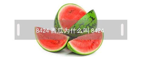 全球最贵西瓜！11公斤日本黑西瓜卖出4.8万元_新浪图片