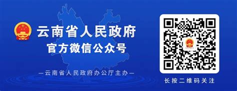 权威发布丨云南省人民政府发布一批任免职通知，涉及12名干部 - 资讯频道