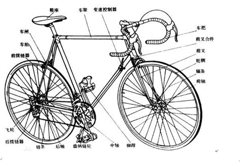 中国电动自行车行业发展现状和市场前景分析_需求