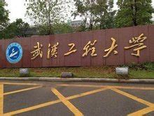 武汉工程大学有哪些专业（附王牌专业、专业设置及分数线）