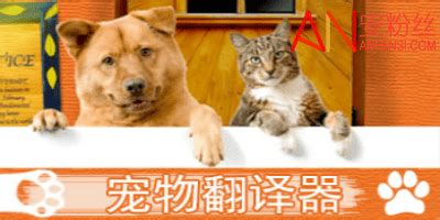 宠物翻译器免费版-宠物翻译器app下载-宠物翻译器软件-安粉丝网