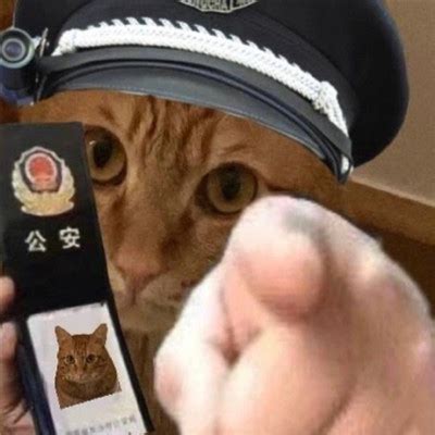 小猫咪警察搞笑表情包大全 不要靠近直接会坐牢-腾牛个性网