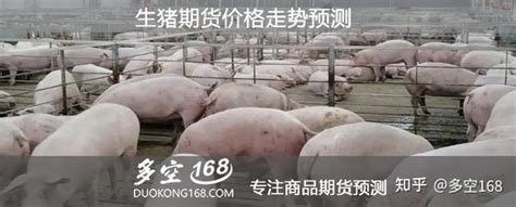 生猪期货手续费是多少 要多少钱-中信建投期货上海
