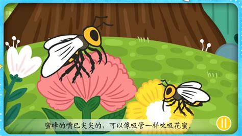 了解蜜蜂吗 知道蜜蜂怎么传递信息的吗
