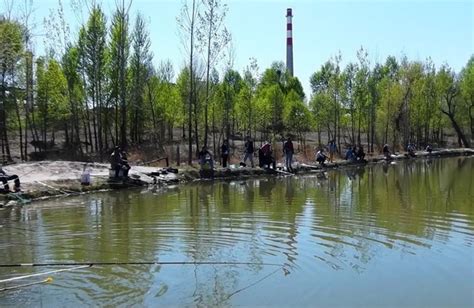 隰县：紫川河生态修复工程引市民关注_黄河新闻网