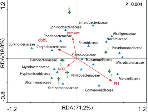 科学网—微生物菌群CDA与RDA分析 - 林国鹏的博文