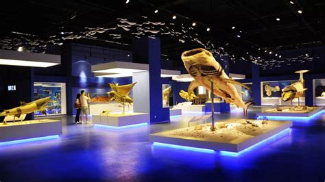2022年度四川省博物馆事业发展报告出炉 博物馆 百姓身边的“文化客厅”-新华网