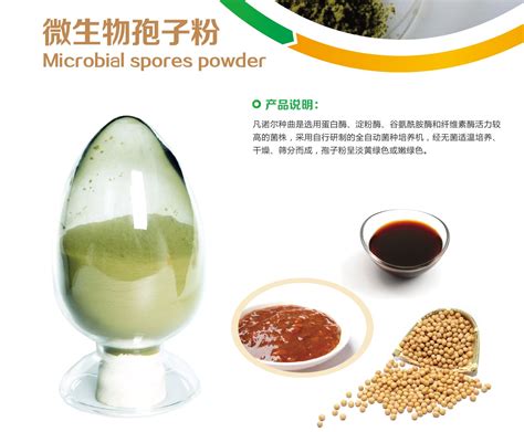 上海破壁灵芝孢子粉每天吃多少效果更好——菇新灵芝 4009200071