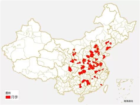 中国各城市市花，都在这里了，看看你所在的城市是什么花吧！_菊花