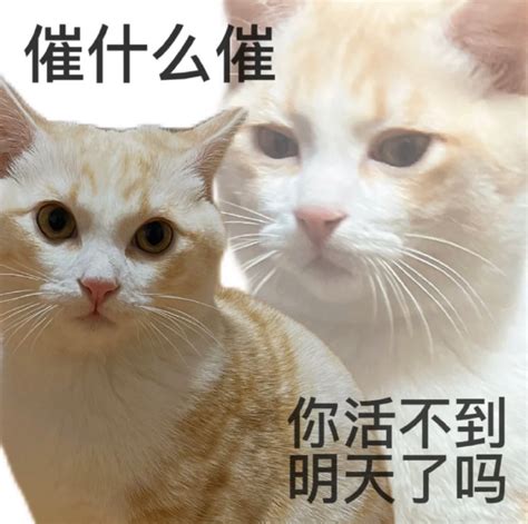 免礼表情包图片