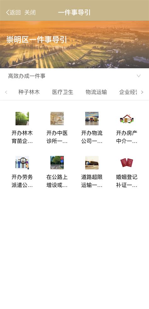 上海市崇明区审计信息中心介绍企业发展分析报告Word模板下载_编号qgewmadw_熊猫办公