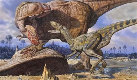 食肉恐龙有哪些(十大大型肉食性恐龙)-风水人