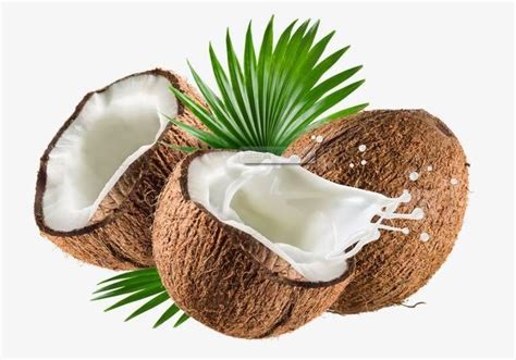 椰青大果带皮椰子海南新鲜现摘甜椰子价格 海南文昌-食品商务网