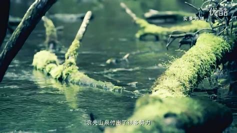 农夫山泉2016年新广告片之贵州武陵山_腾讯视频