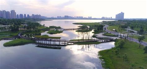 【高清图】长沙洋湖湿地公园-中关村在线摄影论坛