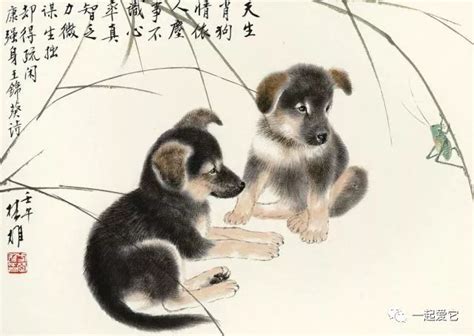 宠知识 | 中国关于犬的传统文化
