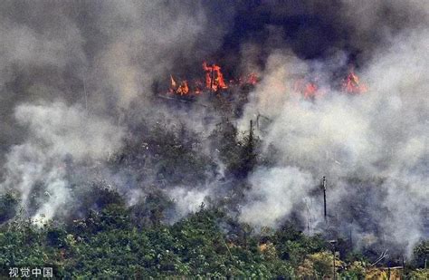 亚马逊雨林大火背后的数字令人心疼 地球1/10物种家园被毁_国际新闻_百战网