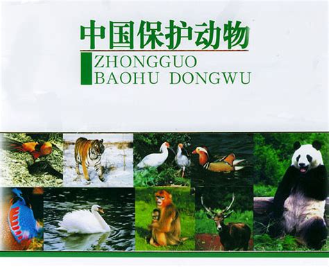 中国国家重点保护野生动物名录图册_360百科